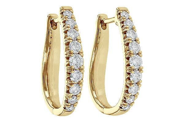 C244-57798: EARR 1.00 TW