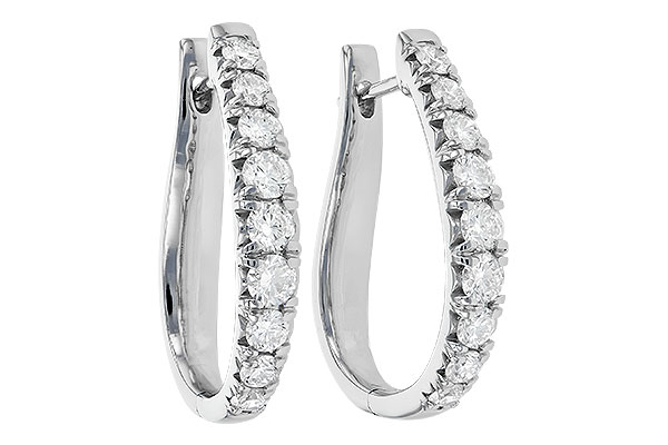 C244-59598: EARR 2.00 TW