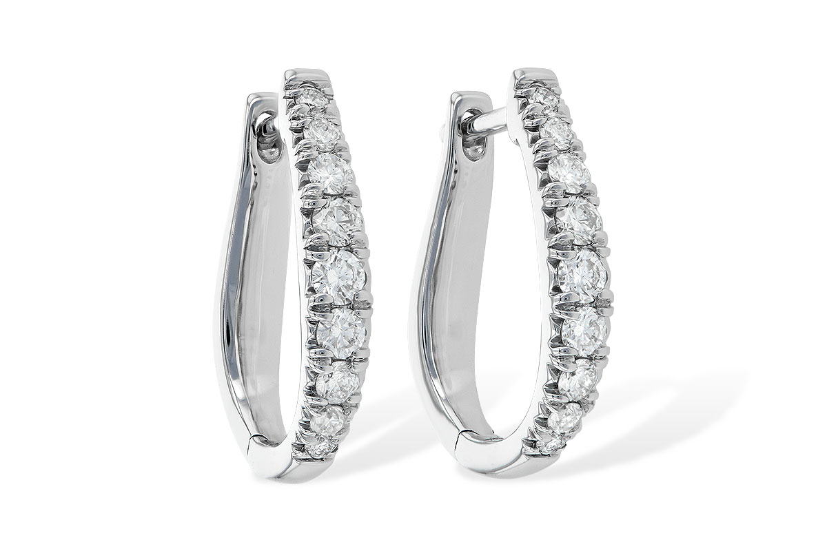 E244-57798: EARR .50 TW