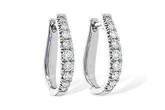 E244-57798: EARR .50 TW