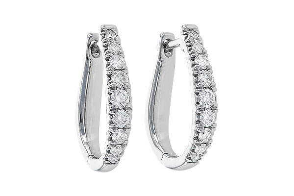 E244-57798: EARR .50 TW