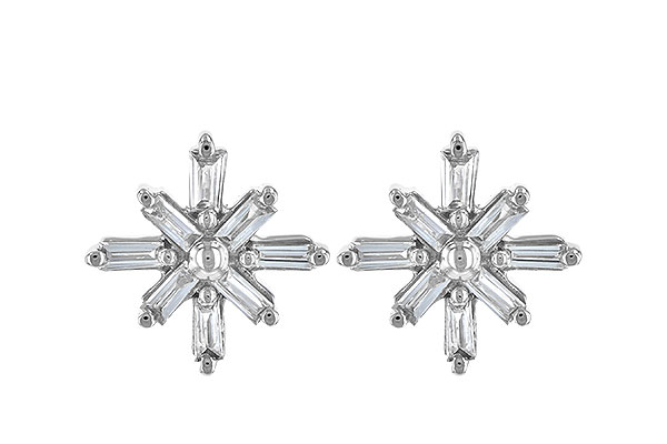 E244-59553: EARR .22 TW BAGUETTES