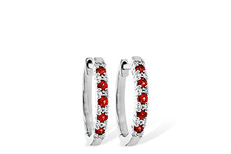 F244-58716: EARR .24 RUBY .30 TGW