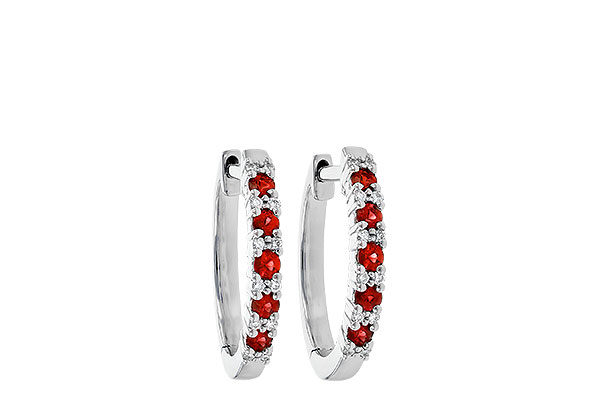 F244-58716: EARR .24 RUBY .30 TGW